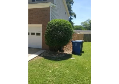 Dependable tree expert