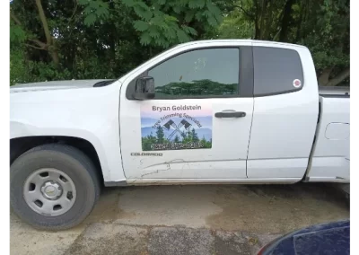 Professional tree expert