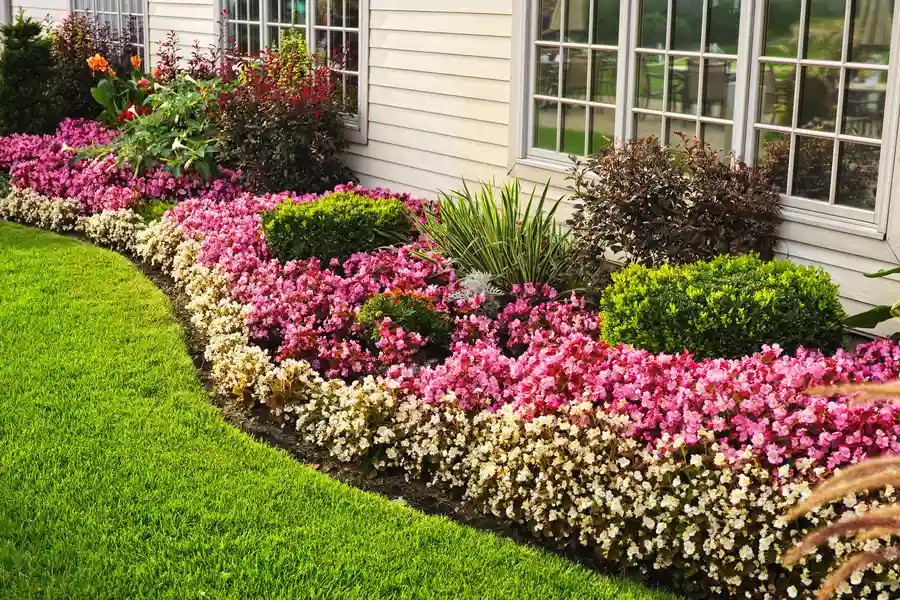 Common Mistakes In Residential Landscaping Design in Columbia, SC