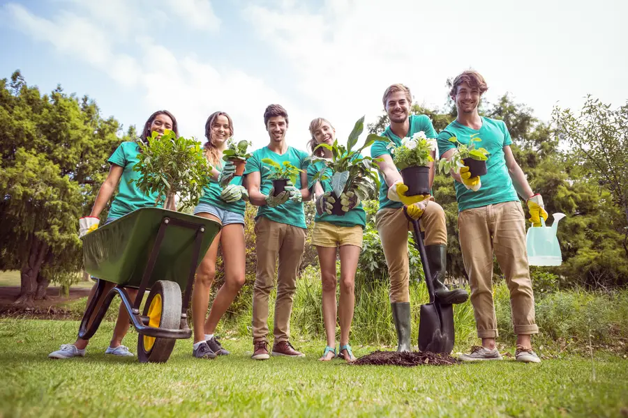 Expert Tips For Maintaining Healthy Urban Trees Columbia, SC